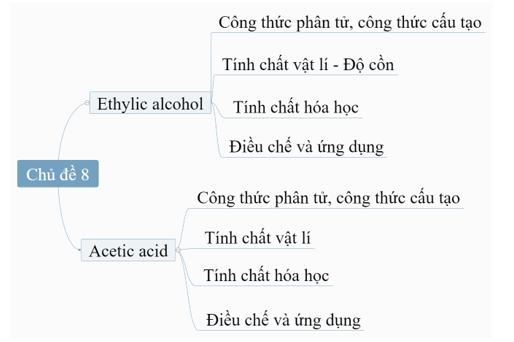 ÔN TẬP CHỦ ĐỀ 8