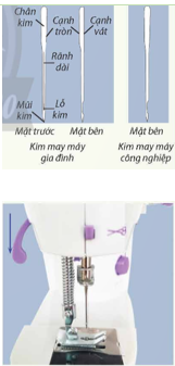 CHỦ ĐỀ 3: THỰC HÀNH CẮT MAY TRANG PHỤC