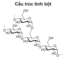 BÀI 28. TINH BỘT VÀ CELLULOSE