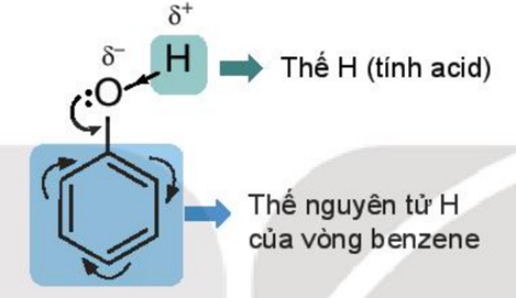 HOẠT ĐỘNG LUYỆN TẬPTừ nội dung bài học,GV yêu cầu HS hoàn thành các bài tập trắc nghiệm sau:Câu 1: Ảnh hưởng của nhóm OH đến vòng benzene được chứng minh bởi phản ứng nào?A. Phản ứng của phenol với dung dịch NaOH B. Phản ứng của phenol với nước BromineC. Phản ứng của phenol với SodiumD. Phản ứng của phenol với formic aldehyde.Câu 2: Nhận xét nào sau đây đúng?A. Phenol có tính acid mạnh hơn ethanol B. Phenol có tính acid yếu hơn ethanolC. Phenol dễ tan trong nước hơn trong dung dịch NaOHD. Phenol không có tính acid.Câu 3: Có bao nhiêu hợp chất thơm X có công thức phân tử là C7H8O2 tác dụng NaOH theo tỉ lệ 1:2. Số công thức cấu tạo X làA. 6B. 8C. 4D. 5Câu 4: Chiều giảm dần độ linh động của nguyên tử H (trái sang phải) trong nhóm OH của 3 hợp chất: C6H5OH (1), ethanol (2), 2-nitro phenol (3)A. (1) < (2) < (3)B. (2) < (1) < (3)C. (3) < (2) < (1)D. (2) < (3) < (1)Câu 5: X là 1 ankyl para phenol. Cho 0,1 mol X tác dụng với brom thấy tạo ra 28 gam kết tủa. Phân tử khối của X làA. 122B. 136C. 108D. 94  Sản phẩm dự kiến:Câu 1 - BCâu 2 - ACâu 3 - ACâu 4 - BCâu 5 - AHOẠT ĐỘNG VẬN DỤNG