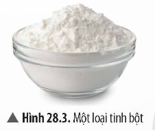 BÀI 28. TINH BỘT VÀ CELLULOSE