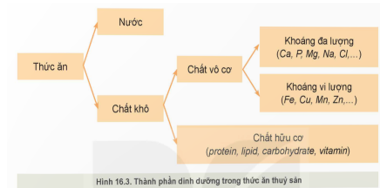 CHƯƠNG VII: CÔNG NGHỆ THỨC ĂN THỦY SẢN