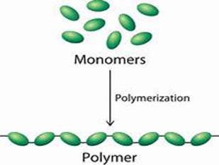 BÀI 30. POLYMER