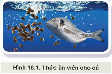 CHƯƠNG VII: CÔNG NGHỆ THỨC ĂN THỦY SẢN