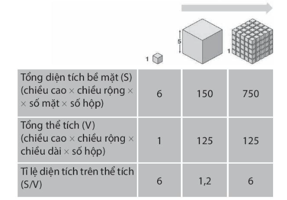 HOẠT ĐỘNG KHỞI ĐỘNG- GV yêu cầu HS quan sát hình ảnh minh họa SGK tr.116 và đặt vấn đề: Vệt màu khổng lồ trên vùng biển Ireland (H.a), màu hồng đỏ của Laguna Salada de  Torrevieja thuộc Tây Ban Nha (H.b), bãi biển phát sáng ở vịnh Jervis ở Australia (H.c) hay màu xanh đặc trưng của Hồ Gươm ở Việt Nam (H.d) dưới đây, tất cả đều được tạo thành từ hàng nghìn tỉ sinh vật nhỏ bé không thể nhìn thấy bằng mắt thường có tên gọi chung là vi sinh vật. Vậy vi sinh vật là gì? Với kích thước vô cùng nhỏ bé như vậy thì “thức ăn” của chúng là gì và chúng ta làm thế nào để có thể nghiên cứu về chúng?HOẠT ĐỘNG HÌNH THÀNH KIẾN THỨC