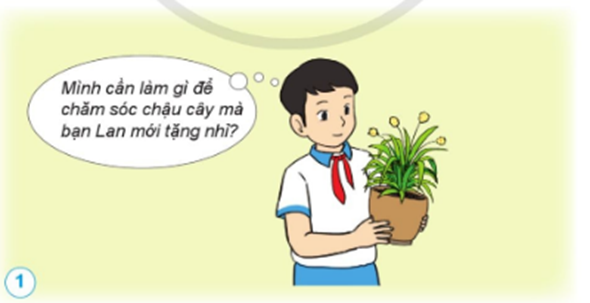 HOẠT ĐỘNG VẬN DỤNG