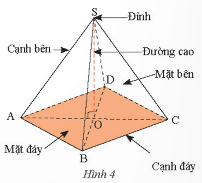 CHƯƠNG 2. CÁC HÌNH KHỐI TRONG THỰC TIỄNBÀI 1. HÌNH CHÓP TAM GIÁC ĐỀU – HÌNH CHÓP TỨ GIÁC ĐỀUHOẠT ĐỘNG KHỞI ĐỘNG