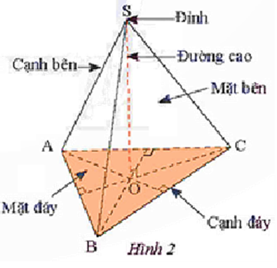 CHƯƠNG 2. CÁC HÌNH KHỐI TRONG THỰC TIỄNBÀI 2. DIỆN TÍCH XUNG QUANH VÀ THỂ TÍCH CỦA HÌNH CHÓP TAM GIÁC ĐỀU, HÌNH CHÓP TỨ GIÁC ĐỀUHOẠT ĐỘNG KHỞI ĐỘNG