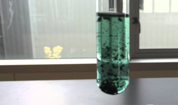 A test tube with a green liquid in it

Description automatically generated