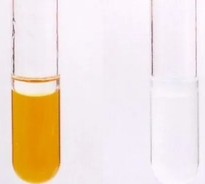 A close-up of a test tube

Description automatically generated