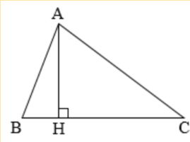 HOẠT ĐỘNG VẬN DỤNG