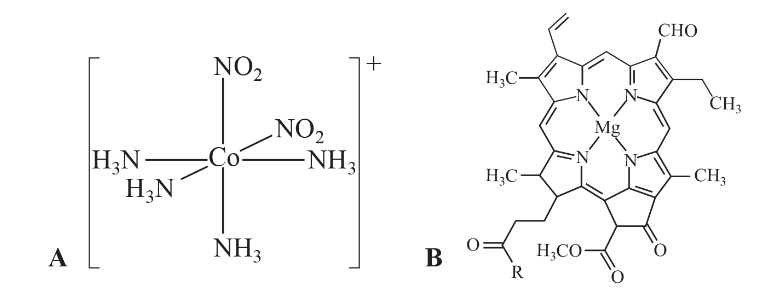 BÀI 21: SƠ LƯỢC VỀ PHỨC CHẤT