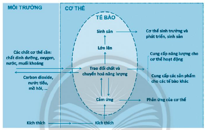 BÀI 39: CHỨNG MINH CƠ THỂ SINH VẬT LÀ MỘT THỂ THỐNG NHẤT