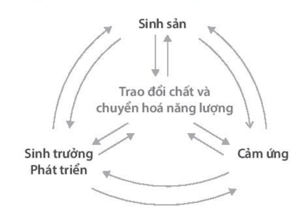 BÀI 39: CHỨNG MINH CƠ THỂ SINH VẬT LÀ MỘT THỂ THỐNG NHẤT