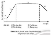 HOẠT ĐỘNG KHỞI ĐỘNGQuan sát hình ảnh hộp sữa chua bị phồng nắp và trả lời câu hỏi: Vì sao nắp hộp sữa chua bị phồng lên? Vì sao không nên sử dụng những hợp sữa chua đó?HOẠT ĐỘNG HÌNH THÀNH KIẾN THỨCHoạt động 1: Tìm hiểu quá trình tổng hợp và phân giải ở vi sinh vật.- GV cho HS quan sát hình 25.2 và trả lời câu hỏi 1 trang 119, SGK: Hãy nhận xét số lượng tế bào vi khuẩn E. coli sau mỗi lần phân chia. Từ đó hãy cho biết khái niệm sinh trưởng ở vi sinh vật?- GV đặt câu hỏi: Trong khái niệm trên có nhắc đến sự gia tăng cá thể. Vậy theo em, mỗi cá thể có gia tăng về kích thước và khối lượng không?- GV yêu cầu HS trả lời câu hỏi 2 trang 119, SGK: Vì sao nói sinh trưởng ở vi sinh vật là sinh trưởng của quần thể?- GV cho HS xem hình ảnh về sự sinh trưởng ở sinh vật đa bào, cụ thể là ở chó, yêu cầu HS trả lời câu hỏi luyện tập trang 119 SGK: Hãy so sánh sự sinh trưởng của quần thể vi sinh vật với sự sinh trưởng của sinh vật đa bào. Sản phẩm dự kiến:CH1 - tr 119 SGK.- Khi nuôi cấy vi khuẩn E Coli ở môi trường nước thịt ở nhiệt độ : + Cứ sau 20 phút thì tế bào vi khuẩn phân chia một lần. + Tăng gấp đôi sau mỗi lần phân chia.Thế hệ 012…nSố lượng tế bào1()2()4()..Nn() Khái niệm sinh trưởng ở vi sinh vật: Sinh trưởng ở vi sinh vật là sự gia tăng số lượng cá thể của quần thể vi sinh vật.Trả lời: + Từ khi sinh ra cho đến trước khi bước vào phân chia, vi khuẩn có sự gia tăng về kích thước và khối lượng. CH2 trang 119, SGK.Vi sinh vật có kích thước rất nhỏ nên rất khó để nhận ra sự thay đổi về kích thước và khối lượng. Do đó, sinh trưởng ở vi sinh vật cần được xem xét trên phạm vi quần thể. Luyện tập trang 119, SGK. Tham khảo file đính kèm phía dưới hoạt động.Hoạt động 2: Tìm hiểu các pha sinh trưởng của quần thể vi khuẩn- GV đưa ra câu hỏi: Em hãy trình bày những hình thức nuôi cấy vi khuẩn?- GV tổ chức cho HS làm việc nhóm đôi trả lời câu hỏi 3 và 4 trang 120 SGK:CH3. Đọc thông tin trên và quan sát hình 25.3, hãy trình bày đặc điểm các pha sinh trưởng của quần thể vi khuẩn trong nuôi cấy mô không liên tụcCH4. Hãy giải thích đường cong sinh trưởng trong nuôi cấy liên tục.Sản phẩm dự kiến:- Có 2 hình thức nuôi cấy vi khuẩn: nuôi cấy không liên tục và nuôi cấy liên tục. + Nuôi cấy không liên tục: là quá trình nuôi cấy không được bổ sung chất dinh dưỡng và không lấy đi các sản phẩm của quá trình nuôi cấy + Nuôi cấy liên tục: là quá trình nuôi cấy thường xuyên bổ sung chất dinh dưỡng đồng thời lấy đi một lượng dịch nuôi cấy tương ứng. CH3. Trình bày đặc điểm các pha sinh trưởng của quần thể vi khuẩn trong nuôi cấy không liên tục ở bảng đính kèm phía dưới hoạt động. CH4.- Vẽ hình: như dưới - Giải thích: Trong nuôi cấy liên tục, quần thể vi khuẩn không xảy ra pha suy vong vì chất dinh dưỡng được cung cấp liên tục và đồng thời lấy đi các sản phẩm nuôi cấy. => Kiến thức trọng tâm: + Trong môi trường nuôi cấy không liên tục, quần thể vi sinh vật sinh trưởng theo 4 pha: tiềm phát, lũy thừa, cân bằng và suy vong. + Trong môi trường nuôi cấy liên tục, quần thể vi sinh vật sinh trưởng theo 4 pha: tiềm phát, lũy thừa, cân bằng.….HOẠT ĐỘNG LUYỆN TẬPTừ nội dung bài học, GV yêu cầu HS hoàn thành các bài tập trắc nghiệm sau:Câu 1: Pha nào sau đây chỉ có ở nuôi cấy vi khuẩn không liên tục?A. Pha lũy thừaB. Pha tiềm phátC. Pha cân bằngD. Pha suy vongCâu 2: Trong nuôi cấy không liên tục, để thu được lượng sinh khối của vi khuẩn tối đa nên tiến hành thu hoạch vào thời điểm nào sau đây?A. Đầu pha lũy thừaB. Cuối pha lũy thừaC. Đầu pha tiềm phátD. Cuối pha cân bằngCâu 3: Đặc điểm nào sau đây đúng với sinh sản ở vi sinh vật nhân sơ?A. Chỉ có hình thức sinh sản vô tínhB. Chỉ có hình thức sinh sản hữu tínhC. Có cả 2 hình thức: sinh sản vô tính và sinh sản hữu tínhD. Chưa có hình thức sinh sảnCâu 4: Xạ khuẩn có hình thức sinh sản bằngA. phân đôiB. nảy chồiC. bào tử trầnD. tiếp hợpCâu 5: Sinh trưởng ở vi sinh vật làA. sự gia tăng khối lượng cơ thể vi sinh vậtB. sự gia tăng kích thước cơ thể vi sinh vậtC. sự gia tăng về số lượng loài của quần thể vi sinh vậtD. sự gia tăng về số lượng cá thể của quần thể vi sinh vật Sản phẩm dự kiến:Câu 1 - DCâu 2 - BCâu 3 - ACâu 4 - CCâu 5 - D HOẠT ĐỘNG VẬN DỤNG