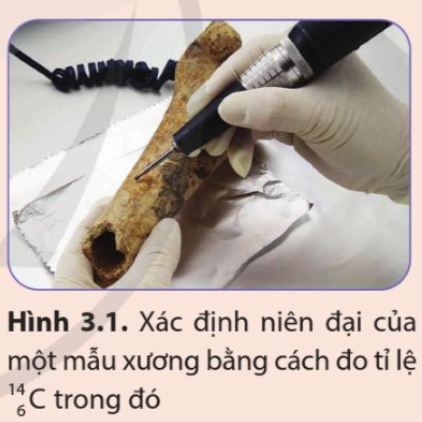 BÀI 3: PHÓNG XẠ