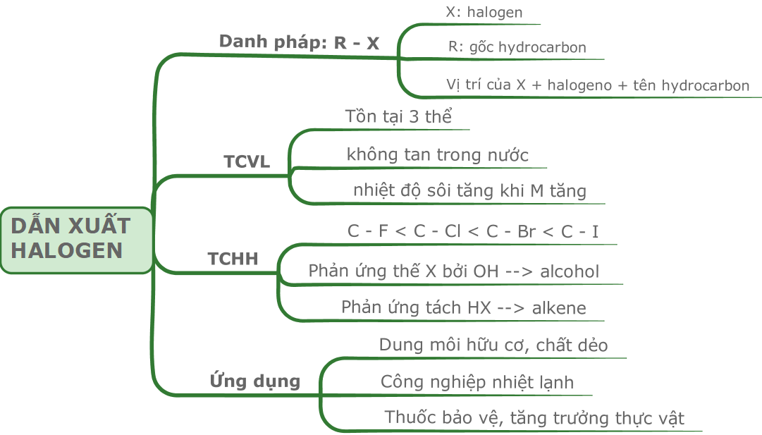 ÔN TẬP CHƯƠNG 5 HOẠT ĐỘNG KHỞI ĐỘNGGV yêu cầu HS thảo luận và trả lời:Đun sôi 15,7 gam C3H7Cl với hỗn hợp KOH/C2H5OH dư, sau khi loại tạp chất và dẫn khí sinh ra qua dung dịch brom dư thấy có x gam Br2 tham gia phản ứng. Tính x nếu hiệu suất phản ứng ban đầu là 80%.HOẠT ĐỘNG HÌNH THÀNH KIẾN THỨC