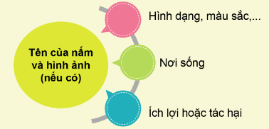 HOẠT ĐỘNG VẬN DỤNG