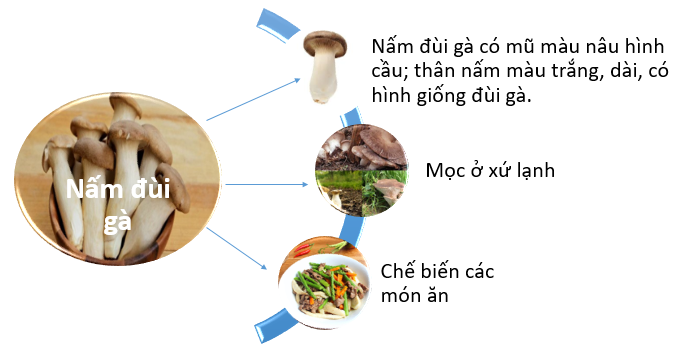 HOẠT ĐỘNG VẬN DỤNG