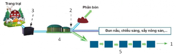 BÀI 22: XỬ LÝ CHẤT THẢI CHĂN NUÔIA. KHỞI ĐỘNG- GV cho HS quan sát hình ảnh và trả lời các câu hỏi sau:Chất thải từ chăn nuôi gồm những loại nào? Chúng có ảnh hưởng như thế nào đến người, vật nuôi và môi trường? Cần phải làm gì để giảm ảnh hưởng xấu của chất thải chăn nuôi đến người, vật nuôi và môi trường?B. HOẠT ĐỘNG HÌNH THÀNH KIẾN THỨCHoạt động 1. Tìm hiểu một số biện pháp xử lí chất thải chăn nuôiNêu vai trò của công nghệ khí sinh học trong xử lí chất thải chăn nuôi. Liên hệ với thực tiễn ở địa phương em.Sản phẩm dự kiến:- Tiêu diệt các vi sinh vật gây bệnh cho con người và vật nuôi.- Tạo chất đốt, chạy máy phát điện- Tạo phân bón.Hoạt động 2. Tìm hiểu ứng dụng công nghệ sinh học trong bảo vệ môi trường chăn nuôiNêu vai trò của công nghệ sinh học trong xử lí chất thải và bảo vệ môi trường chăn nuôi.Sản phẩm dự kiến:- Giảm lượng chất thải ra từ vật nuôi nhờ công nghệ sinh học.- Giảm mùi hôi thối, giảm ruồi muỗi- Nâng cao hiệu quả và đẩy nhanh quá trình phân hủy chất hữu cơ trong chất thải, giảm chất thải ra môi trường, tiêu diệt mầm bệnh.C. HOẠT ĐỘNG LUYỆN TẬP, THỰC HÀNHCâu 1: Dùng chất thải chăn nuôi để nuôi một số động vật khác như giun quế, ấu trùng ruồi lính đen,... tạo ra:A. Nguồn protein chất lượng cao làm thức ăn cho vật nuôi và nuôi trồng thuỷ sảnB. Nguồn carbohydrate thô, góp phần bảo vệ môi trường và cân bằng hệ sinh tháiC. Nguồn dưỡng chất dồi dào cho hệ thống vi sinh vật ở gần nơi xử lí chất thảiD. Tất cả các đáp án trên.Câu 2. Đây là mô hình biogas trong chăn nuôi:Số (4) là gì?A. Hầm biogasB. Bể chứa bùnC. BiogasD. Các bể sinh học tuỳ hệ thống: bể lắng, bể hiếu khí, hồ sinh họcCâu 3. Câu nào sau đây không đúng về biện pháp sử dụng đệm lót sinh học?A. Chăn nuôi trên đệm lót sinh học là hình thức nuôi nhốt gia súc, gia cầm trên một nền đệm lót được làm bằng vật liệu hữu cơ (trấu, mùn cưa,...) trộn với chế phẩm sinh học.B. Sử dụng chế phẩm sinh học trong chăn nuôi đệm lót sinh học giúp phân huỷ chất thải của vật nuôi, giảm khí độc, khử mùi hôi đồng thời giúp cân bằng hệ vi sinh vật theo hướng có lợi cho vật nuôi.C. Biện pháp tuy gia tăng công lao động và lượng nước thải nhưng có lợi thế là không cần tắm cho vật nuôi và cọ rửa chuồng nuôi.D. Đệm lót sinh học cũng tạo môi trường thân thiện, giúp cho vật nuôi sinh trưởng và phát triển tốt.Câu 4. Công nghệ biogas có hạn chế gì?A. Cần phải được chính quyền cấp phép, cần có kiến thức chuyên môn caoB. Cần diện tích lớn, đầu tư ban đầu caoC. Chỉ áp dụng được với chất thải của gia súcD. Tất cả các đáp án trên.Câu 5. Đâu không phải biện pháp xử lý chất thải chăn nuôiA. Khí sinh học (biogas) và hồ sinh học.B. Ủ phân vô cơC. Xử lí nhiệt.D. Lọc khí thải.Sản phẩm dự kiến:Câu 1: ACâu 2: ACâu 3: CCâu 4: BCâu 5: BD. HOT ĐỘNG VẬN DỤNG