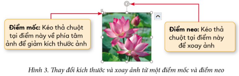 HOẠT ĐỘNG VẬN DỤNG