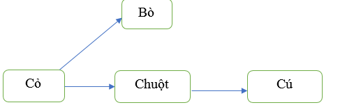 HOẠT ĐỘNG VẬN DỤNG