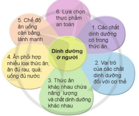 HOẠT ĐỘNG VẬN DỤNG