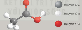 BÀI 27. ACETIC ACID