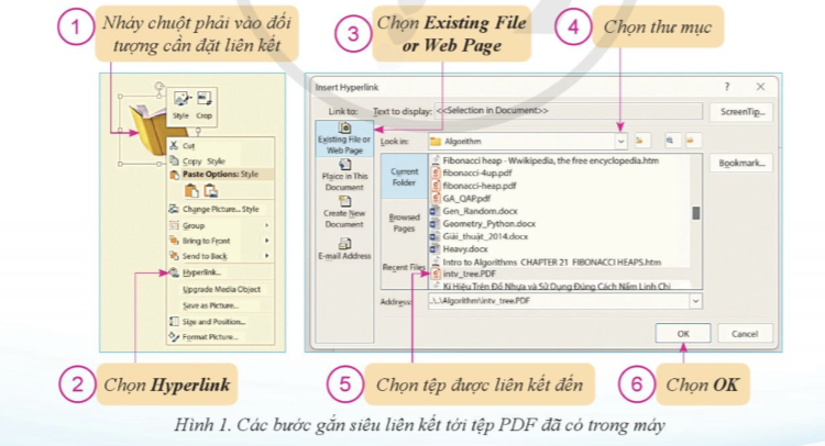 HOẠT ĐỘNG HÌNH THÀNH KIẾN THỨC