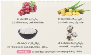 BÀI 29. CARBOHYDRATE GLUCOSE VÀ SACCHAROSE