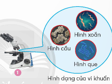 CHỦ ĐỀ 4: VI KHUẨNBÀI 18: VI KHUẨN QUANH TA(1 tiết)