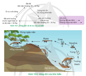 BÀI 15: ĐẶC ĐIỂM SINH SẢN VÀ 