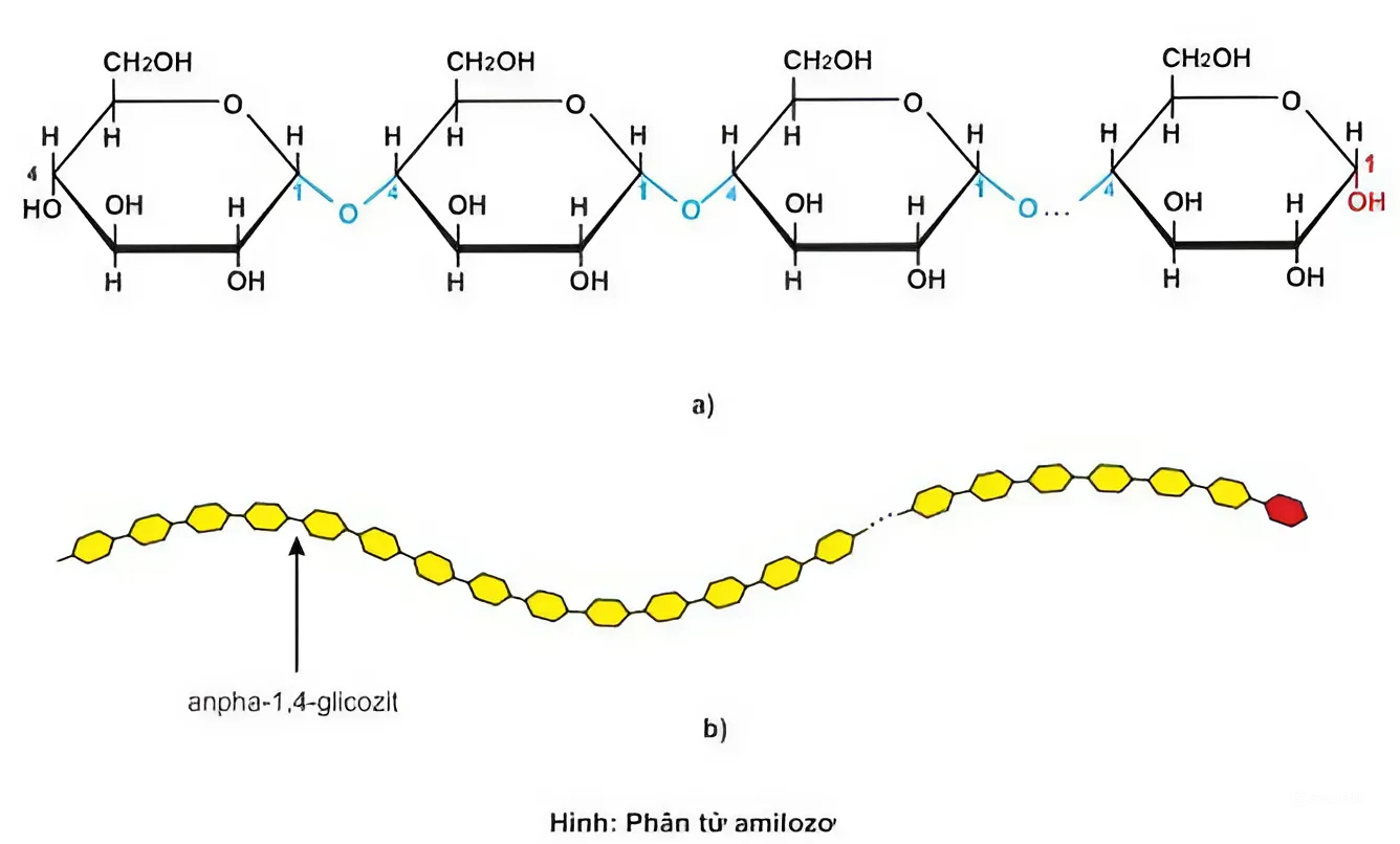 BÀI 29. POLYMER