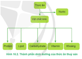 CHỦ ĐỀ 7: CÔNG NGHỆ THỨC ĂN THỦY SẢN