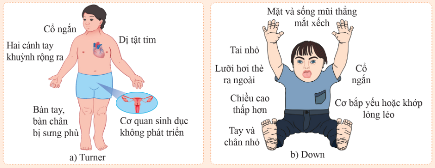 BÀI 40: DI TRUYỀN HỌC NGƯỜI