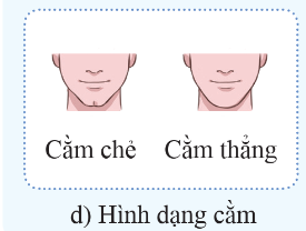 BÀI 40: DI TRUYỀN HỌC NGƯỜI