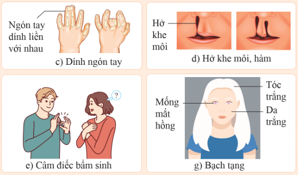 BÀI 40: DI TRUYỀN HỌC NGƯỜI