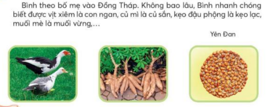 BÀI 3: BÀN TAY CÔ GIÁO (TIẾT 8 – 11)TIẾT 10KHỞI ĐỘNG- GV cho HS nhẩm thuộc lại đoạn thơ trong bài Bàn tay cô giáo ( từ Một tờ giấy đỏ... đến hết), trả lời 1 - 2 câu hỏi về nội dung đoạn thơ.B. HOẠT ĐỘNG HÌNH THÀNH KIẾN THỨC1. Viết tên riêng người nước ngoài- GV hướng dẫn HS xác định yêu cầu của BT 2.- GV cho HS thảo luận nhóm đôi để xác định các tên riêng viết chưa đúng Sản phẩm dự kiến:Véc-Xen -> Véc-xen, rơ-nê -> Rơ-ne; I-rắc niu-tơn -> I-sắc Niu-tơn.- GV cho HS viết lại các tên riêng vào VBT- GV nhận xét và rút ra quy tắc viết tên tiếng người nước ngoài viết hoa chữ cái đầu tiên của tiếng tạo thành mỗi bộ phận.2. Phân biệt s/ x hoặc âc/ ât- GV hướng dẫn HS xác định yêu cầu của 3, chọn thực hiện BT phân biệt.- GV cho HS trao đổi trong nhóm đối để thực hiện yêu cầu và làm vào VBT Sản phẩm dự kiến:a. sổ, xa, sông, sảng, sao b. giấc, gấc, phất, mật. TIẾT 11