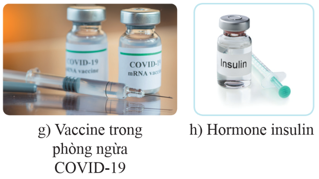 BÀI 41: ỨNG DỤNG CÔNG NGHỆ DI TRUYỀN VÀO ĐỜI SỐNG 