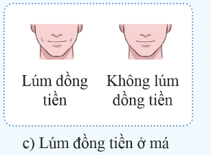 BÀI 40: DI TRUYỀN HỌC NGƯỜI