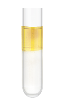 CHỦ ĐỀ 9: LIPID. CARBOHYDRATE. PROTEIN. POLYMER