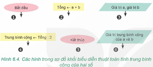 PHIẾU HỌC TẬP 1F. BÀI 5: THỰC HÀNH VỀ MÔ TẢ THUẬT TOÁNEm hãy kể tên một số cách có thể mô tả được thuật toán?...........................................................................................................................................................................................................................................................................................................................................................................................................................Em hãy nêu một số quy ước khi sử dụng sơ đồ khối để mô tả thuật toán?..........................................................................................................................................................................................................................................................................................................................................................................................................................................................................................................................................................................................................................................................................................................…Em hãy nêu ví dụ về các cấu trúc tuần tự, rẽ nhánh và lặp dưới dạng sơ đồ khối?.....................................................................................................................................................................................................................................................................................................................................................................................................................................................................................................................................................................4. Bạn An cho rằng:  Sơ đồ khối ở Hình 6.12a thể hiện rằng nếu chưa hiểu bài thì việc đọc lại sách chỉ thực hiện một lần rồi làm bài tập. Còn sơ đồ khối ở Hình 6.12b thể hiện rằng nếu chưa hiểu bài thì việc đọc lại sách và làm bài tập sẽ thực hiện nhiều lần