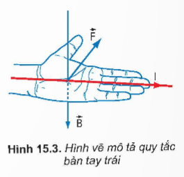 BÀI 15: LỰC TỪ TÁC DỤNG LÊN DÂY DẪN MANG DÒNG ĐIỆN. CẢM ỨNG TỪ