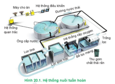 BÀI 20: ỨNG DỤNG CÔNG NGHỆ CAO TRONG NUÔI THỦY SẢN