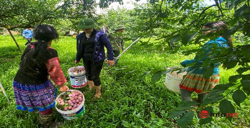 CHƯƠNG 4: ĐỊA LÍ CÁC VÙNG KINH TẾ