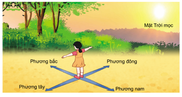 PHIẾU HỌC TẬP 1BÀI 20: PHƯƠNG HƯỚNG1. Mặt trời mọc ở phương nào và lặn ở phương nào?...........................................................................................................................................................................................................................................................................................................................................................................................................................Kể tên một số phương khác mà em biết?...........................................................................................................................................................................................................................................................................................................................................................................................................................Dựa vào hình và nêu cách xác định phương hướng chính dựa trên phương Mặt Trời mọc?.................................................................................................................................................................................................................................................................................................................................................................................................................................................................................................................................................................…4. Nếu biết phương mặt trời lặn, em xác định các phương còn lại bằng cách nào?...........................................................................................................................................................................................................................................................................................................................................................................................................................PHIẾU HỌC TẬP 2