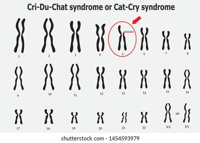 BÀI 37: ĐỘT BIẾN NHIỄM SẮC THỂ