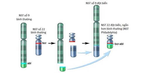 BÀI 37: ĐỘT BIẾN NHIỄM SẮC THỂ