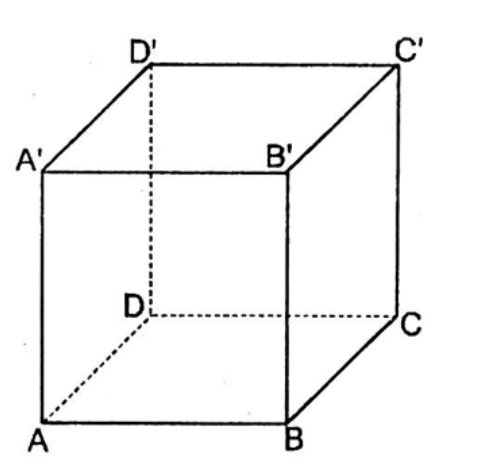 BÀI 1. HAI ĐƯỜNG THẲNG VUÔNG GÓC (2 TIẾT)