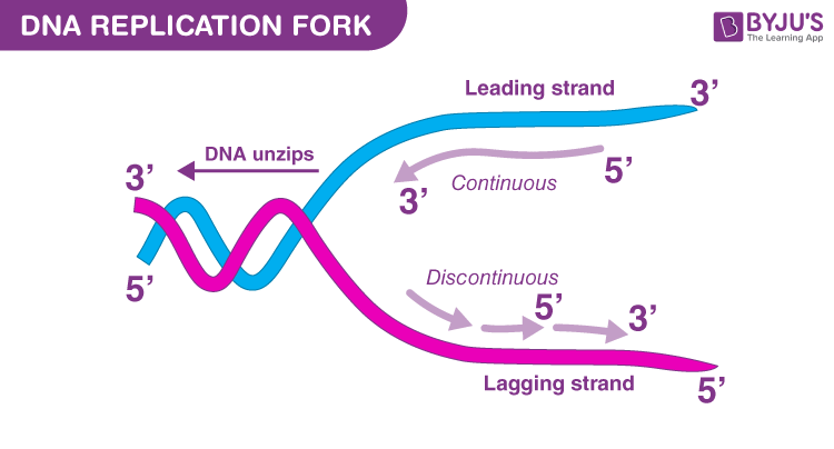 CHỦ ĐỀ 11: DI TRUYỀN